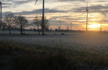 FeWo Im Loog - Foto 19