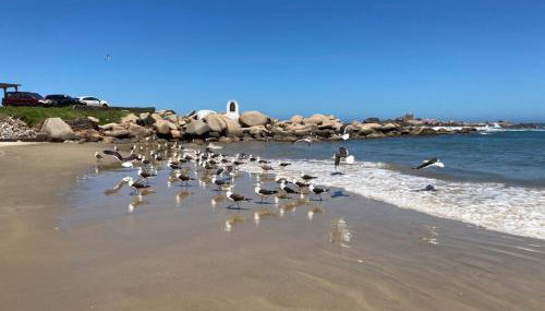 Apto com vista para o mar e o farol - loft 323 - Foto 3