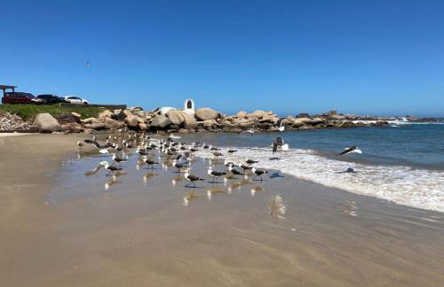 Apto com vista para o mar e o farol - loft 323 - Photo 3