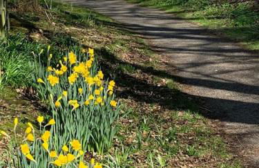 Tummel View Pitlochry - Foto 14