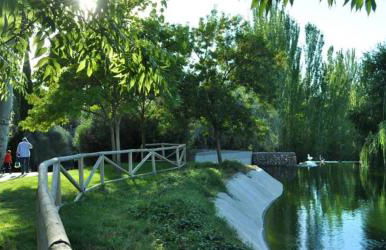 Sweet Toledo - Foto 24