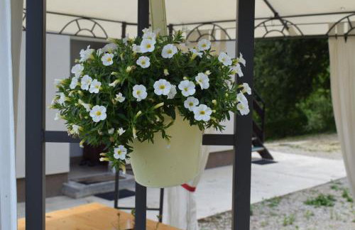 Apartmani Huško - Foto 22