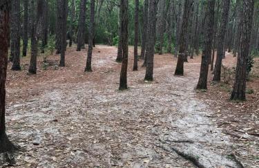 Casa na praia , Ar c, pisc,bosque , dunas e lagoa - Foto 12