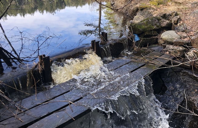 Björsjödal - Foto 64