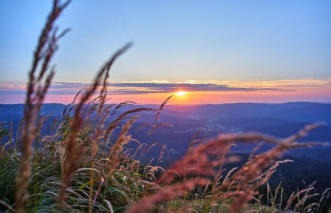 Am Weberfeld, Bodenmais - Foto 46