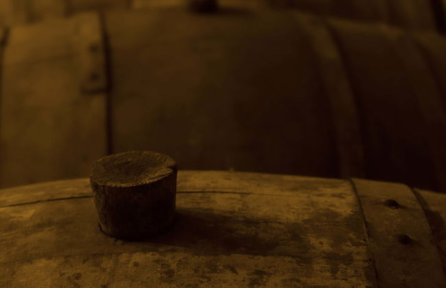 Visita a las bodegas Monje - Foto 1