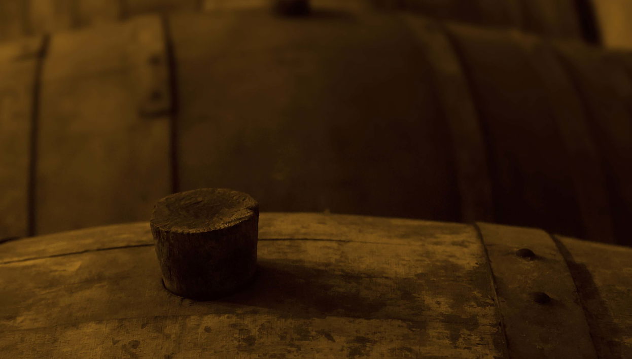 Visita a las bodegas Monje