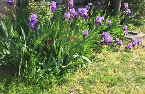 CASA ELSA Charming Apartment - Foto 5