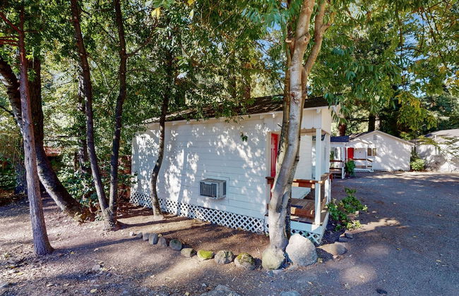 Rouge Cobb Mountain Cabins - Photo 41