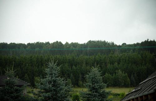 Myśliwska chata Staś i Nel - Foto 27