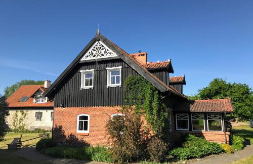 Andrzejówka - Photo 51