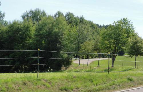 Ferienwohnung Waldweg - Photo 17