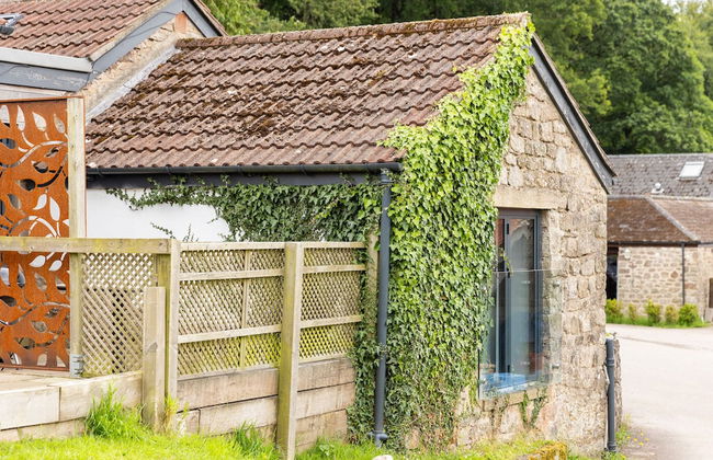 Welsh Marches at Upper Glyn Farm - Foto 45