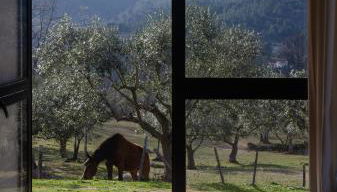 Special Farmstay, Faia-Guarda - Foto 2
