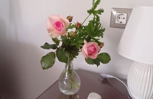 PONTECESO, MAR Y FER - Foto 10