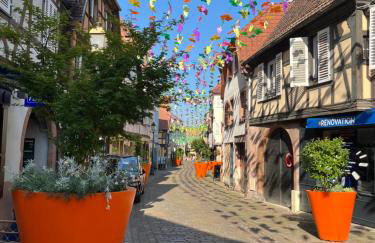 La Terrasse du Vignoble - Garage et parking privatifs - Photo 24