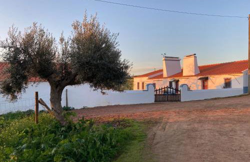 Monte do Pombal - Foto 18