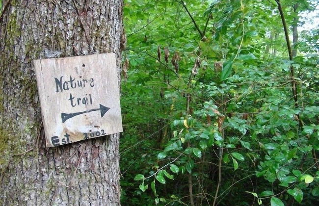 Into the Wild - 2 Bedrooms, 3 Baths, Sleeps 6 Home by RedAwning - Foto 18