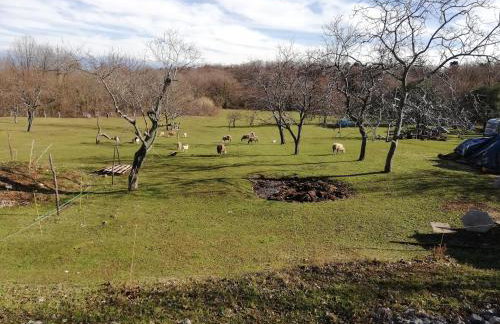 Apartments Renata - Brseč - Foto 6