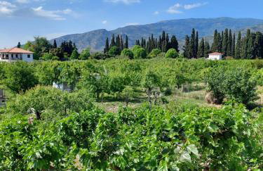 Platanidia Apartment Pelion - Foto 26