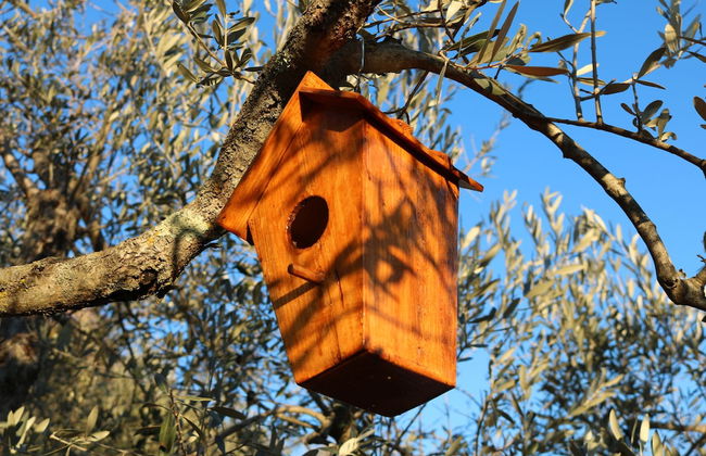 Casa Lisetta - Foto 33