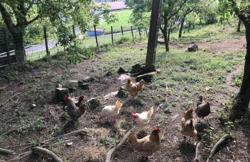 Country loft Zarautz- San Sebastián - Foto 12