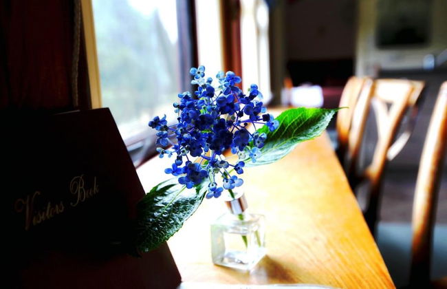 Woodlyn Park - Foto 80