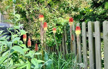 Cosy Coastal 2-Bedroom Cottage with Hot Tub and Log Burner - Foto 19