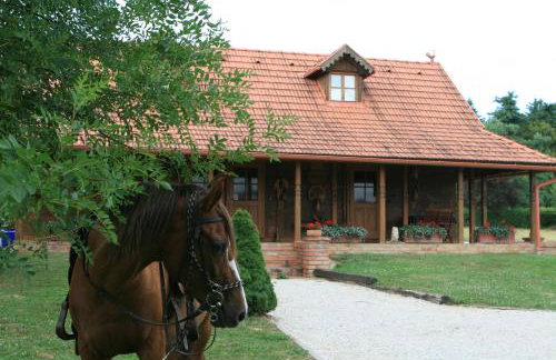 Old Oak House with pool - Foto 18