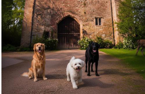 Welsh Gatehouse A Historic Castle Retreat that Welcomes Dogs and Electric Vehicles - Photo 47