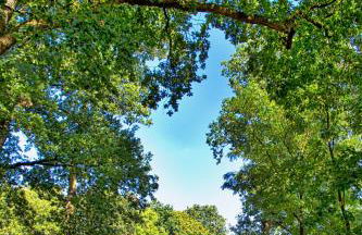 Ferienwohnungen Manfred Peters Baven - Photo 38