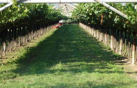 Le Servite Apartments - Foto 52