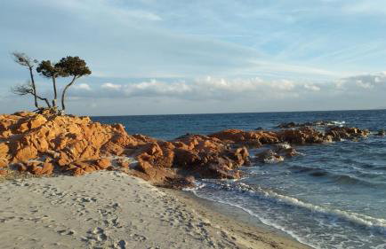 Casa with pool near Palombaggia - Photo 23