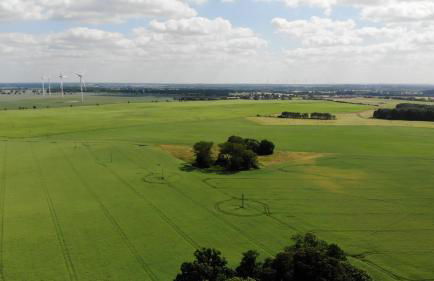 Gutshaus Zarchlin - Photo 15