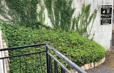 Gîte Coccinelle - Foto 30