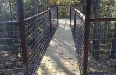Cabin with a tree house on a buffalo farm . - Foto 22