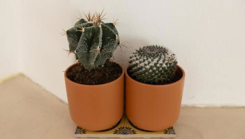 Casa Marilyn - Foto 4