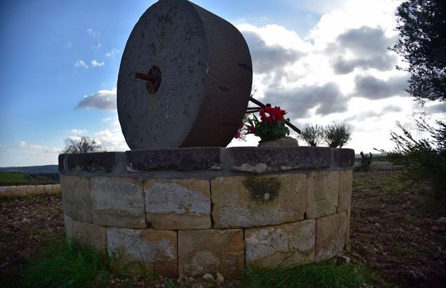 La Mela di Venere - Foto 37