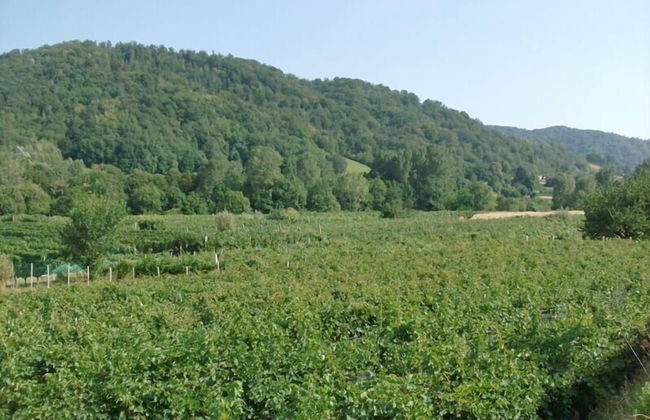 Agriturismo Al Vecchio Portico - Photo 78