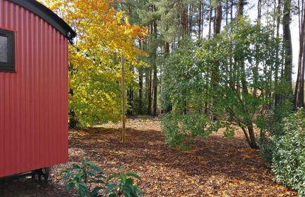 Forest Heath Shepherd's Huts - Foto 5