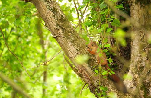 Maison Félice - Foto 36