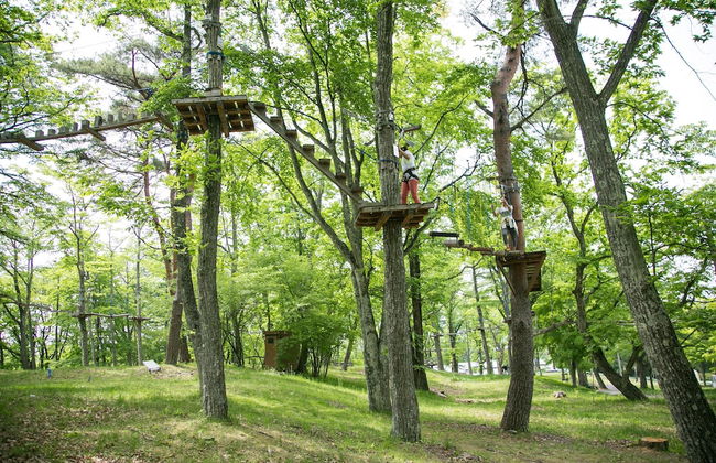 The Prince Villa Karuizawa - Foto 42