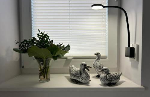 Penthouse Jever - großzügige Dachterrasse - Foto 14