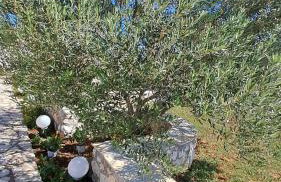 Vila Zagora - Foto 15