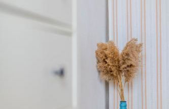 Coralline Apartment - Foto 25