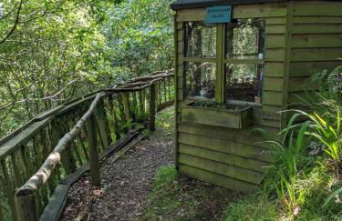 3 Bed in Dinas oc-lazyno - Photo 46