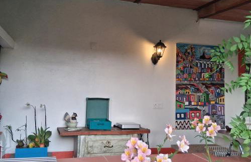 Monte do Rei Santo - Foto 54