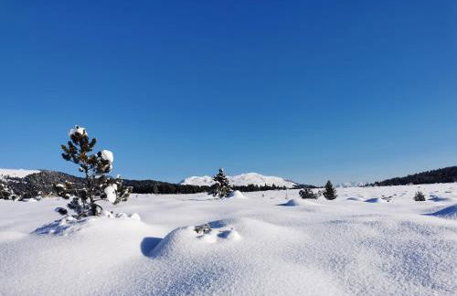 Haus Gläserer apartments - Foto 35