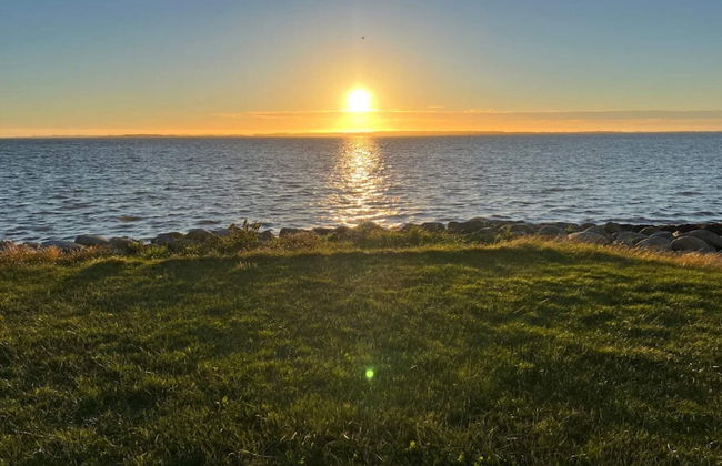 Modern Retreat in Klitgards-by Traum - Foto 24