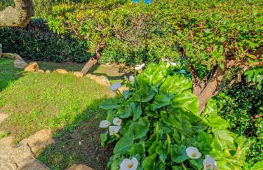 Villa Paradiso - Foto 54